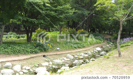 首爾森林 首爾森林 70520959