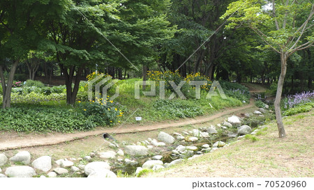 Seoul Forest Seoul Forest 70520960