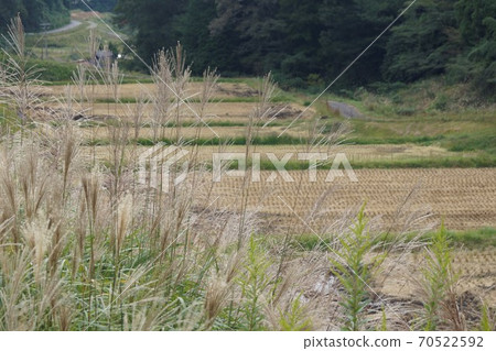 Terada and Susuki 70522592