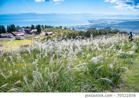 Takashima City, Shiga Prefecture, Miscanthus sinensis and Lake Biwa on the summit of Mt. Biwako Hakodate Takashima City, Shiga Prefecture, Miscanthus sinensis and Lake Biwa on the summit of Mt. Biwako Hakodate 70522856