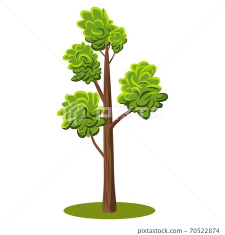Flat cartoon vector tree with variety of green chades leaves. Flat Vector Illustration for nature props Flat cartoon vector tree with variety of green chades leaves. Flat Vector Illustration for nature props 70522874