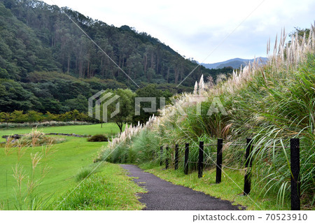 鈴木排隊的伊豆公園 70523910