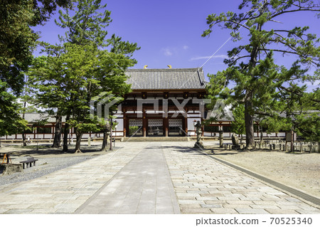 Todaiji Nakamon, Nara City, Nara Prefecture Todaiji Nakamon, Nara City, Nara Prefecture 70525340