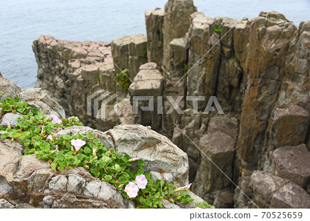 福井縣Tozabu 70525659