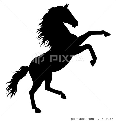 Horse silhouette material illustration Horse silhouette material illustration 70527037