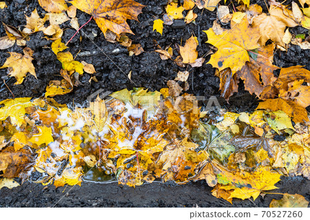 top view of puddle in deep rut on country road top view of puddle in deep rut on country road 70527260