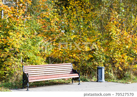 wooden bench and trash can near colorful trees wooden bench and trash can near colorful trees 70527570