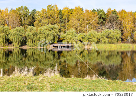 green beach and colorful forest on shore of pond green beach and colorful forest on shore of pond 70528017
