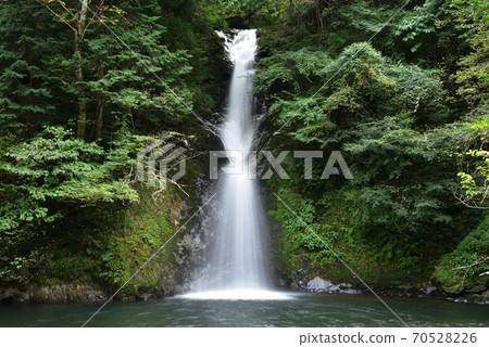 Fudo Falls Man Waterfall and Forest Forest Shinjo Village, Maniwa District, Okayama Prefecture 70528226