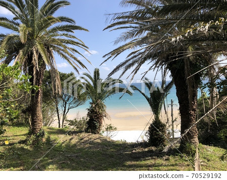 Kojuko海灘 70529192