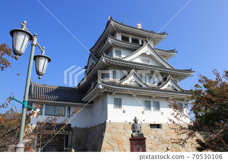 Sunomata Ichiya Castle Gifu 70530106