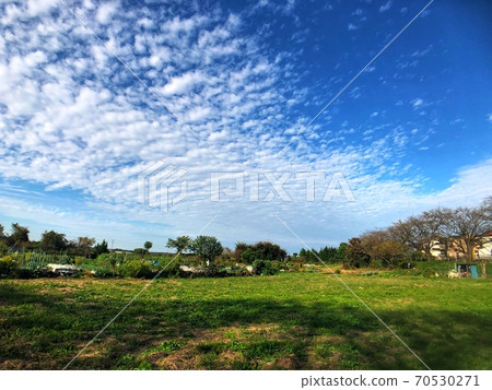 Autumn scale clouds and a quiet landscape of the countryside Autumn scale clouds and a quiet landscape of the countryside 70530271