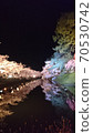 Cherry blossoms at night 70530742
