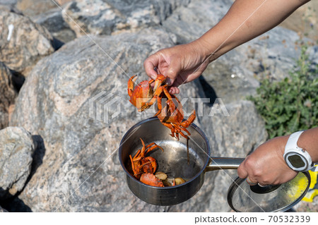Newly cooked crabs. Fresh catch cooked in nature right by the fishing site 70532339