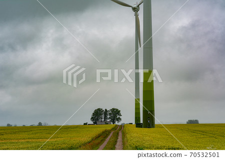 A wheat field with two large wind power towers in the background. Dark clouds. Picture taken near Kavlinge in Scania, southern Sweden 70532501