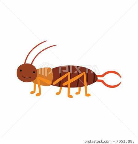 Crawling Earwig insect animal cartoon character isolated on white background. 70533093