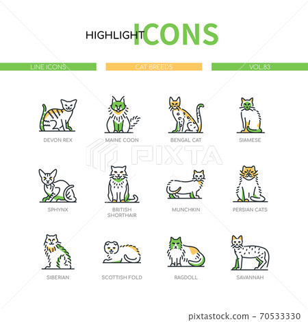 Cat breeds - modern line design style icons set Cat breeds - modern line design style icons set 70533330