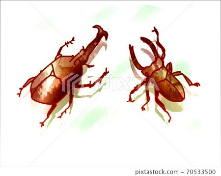 牛部和桑wa 70533500