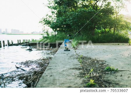 海豚被遺棄在河裡的裝飾品 70533607