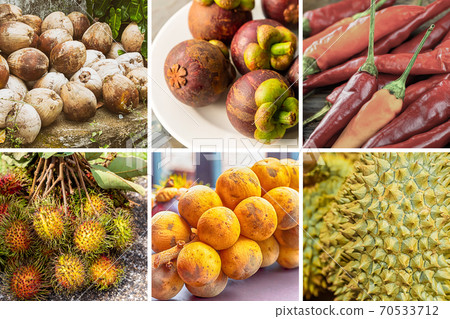 Thailand fruit collage rambutan, jackfruit, chili and longkong Thailand fruit collage rambutan, jackfruit, chili and longkong 70533712