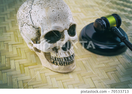 human skull and judge gavel on wooden background close-up human skull and judge gavel on wooden background close-up 70533713