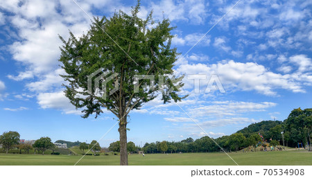Nanase River Park 70534908