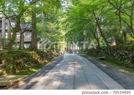 Summer view of temple path through forest trees, Eiheiji, Fukui Prefecture, Japan. 70534995