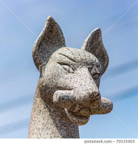 Historic stone statue of a fox, or kitsune, messenger of the God Inari, holding in its mouth a symbolic scroll, at Nomachiinari shinto shrine in Kanazawa city, Ishikawa Prefecture, Western Japan. 70535003