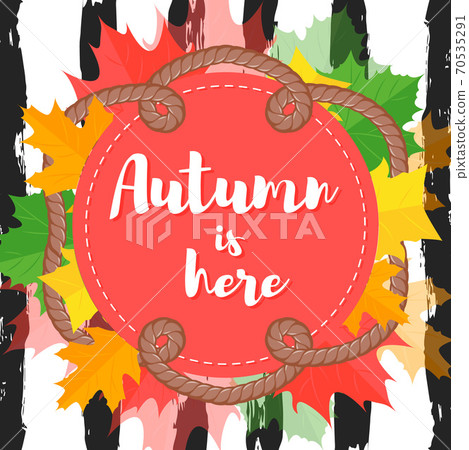 Autumn is here phrase on circle with maple leaf 70535291
