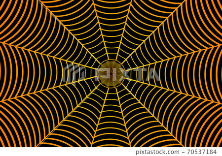 Golden spider web on black background 70537184