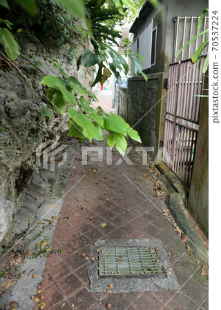 Back alley of Miyakojima / Sarahama Back alley of Miyakojima / Sarahama 70537224