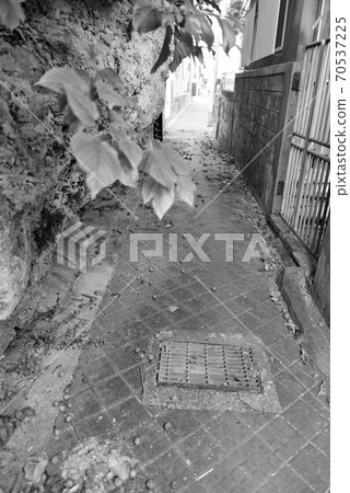 宮古島/ ham濱市後巷 70537225