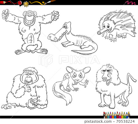 cartoon birds animal characters set coloring book page 70538224