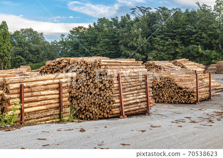 砍伐國內木材 70538623