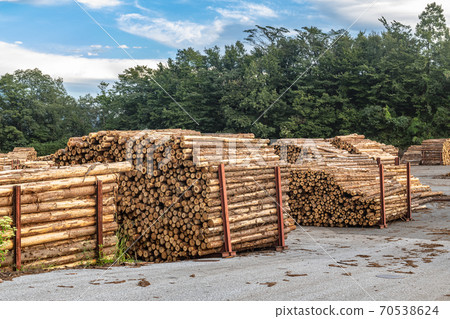 砍伐國內木材 70538624
