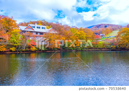 獨子沼澤和中央高原 70538640