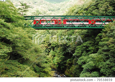 穿過箱根鐵橋的箱根登山鐵道“阿萊格拉” 3廂編隊 70538659