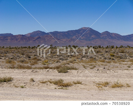 Area 51 70538920