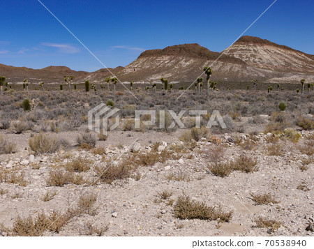 Area 51 70538940