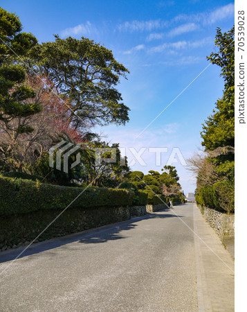 Samurai住宅小組位於洪氾區腳下 70539028