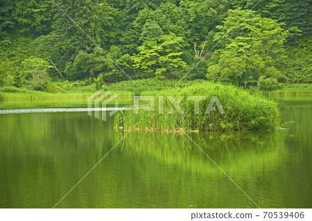 Himenuma Rishiri Island Morning Hokkaido Himenuma Pond Rishiri Hokkaido 70539406