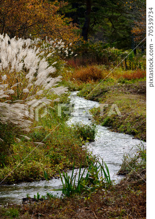 Autumn on the plateau where the stream flows 70539734