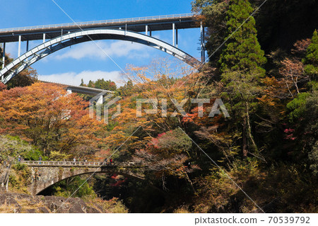 秋天的高千穗峽谷“高千穗三橋” 70539792