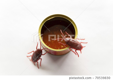 Cockroaches flock to canned food left over 70539830