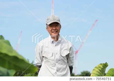 Senior man working in the field Senior man working in the field 70540731