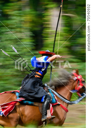 Flower horse 70540932