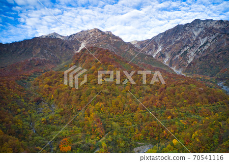 白馬山的壯麗景色和美麗的秋葉延伸到長野縣大雪谷白馬村（無人機鳥瞰） 70541116
