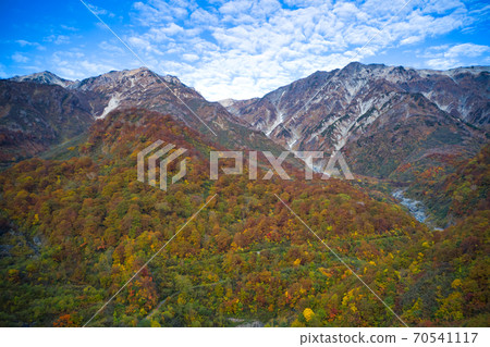 Powerful view of Mt. Hakuba and beautiful autumn leaves extending to the Taisetsu Valley (Aerial view by drone) in Hakuba Village, Nagano Prefecture 70541117