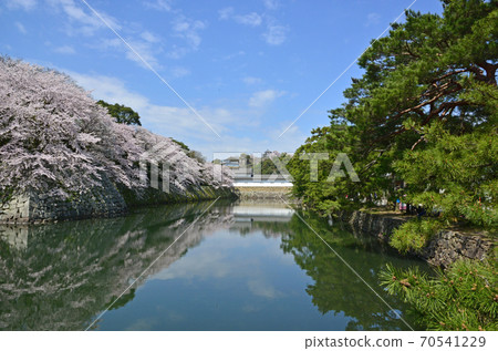 Hikone castle Hikone castle 70541229