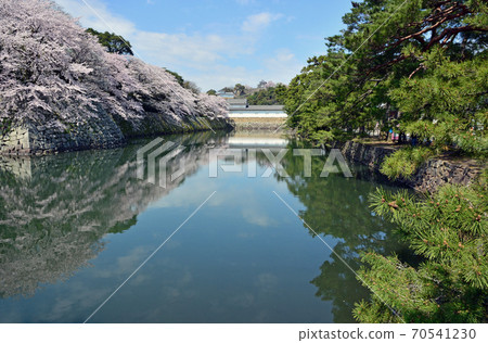 Hikone castle 70541230